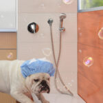 16273-imagen-producto-secundaria-xl_19-14