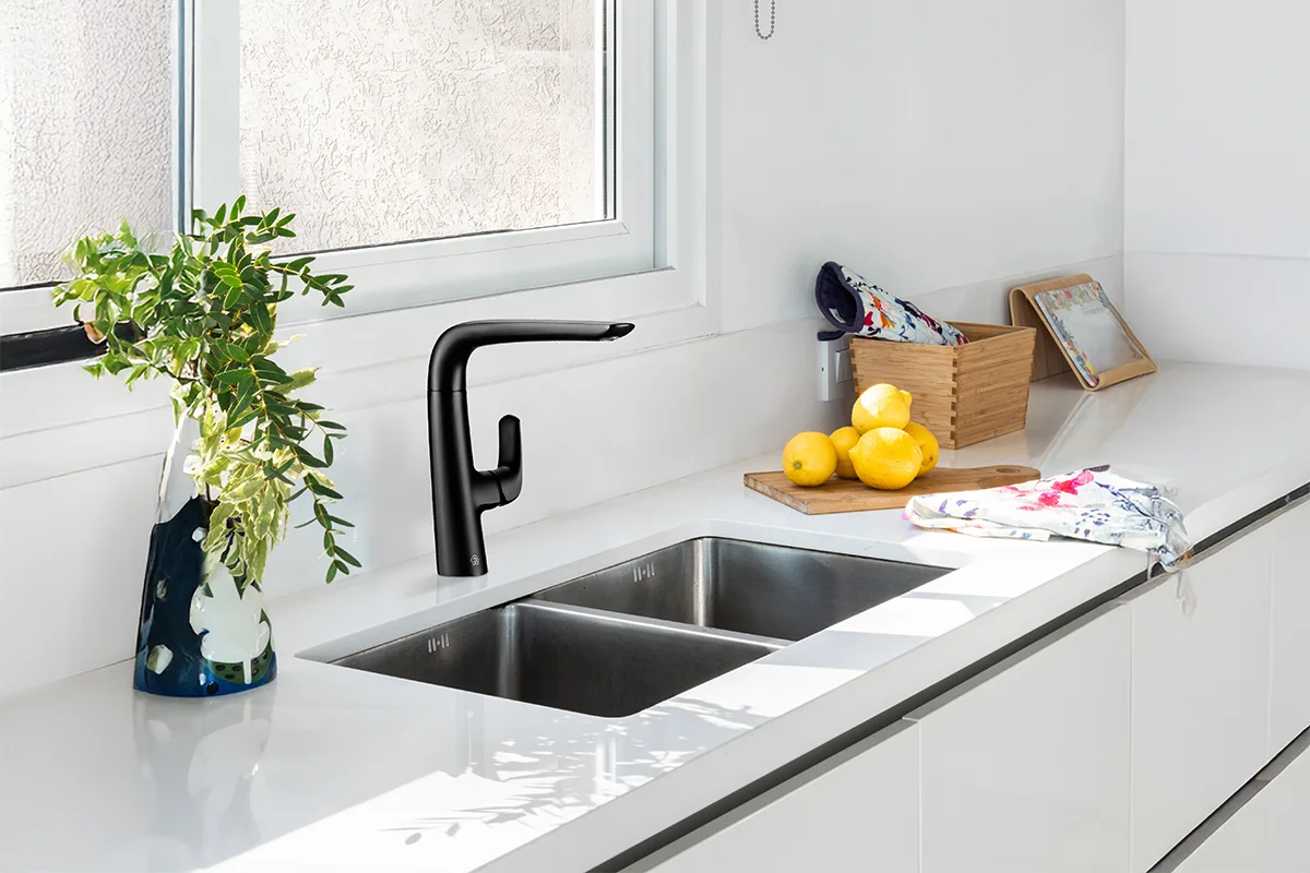 Elegir el Fregadero Ideal: Funcionalidad, Estilo y Comodidad en tu Cocina