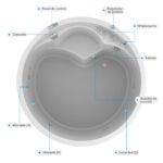 25097-imagen-producto-extras_12-
